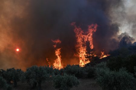Ηλεία: Συνελήφθη ένα άτομο για πρόκληση πυρκαγιάς