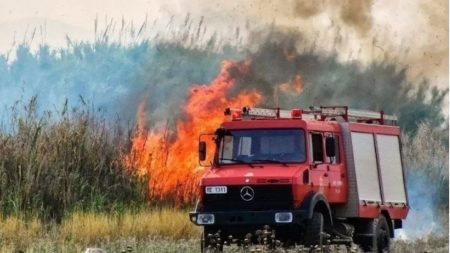 Φωτιά στην Ηλεία, στην περιοχή Σχίνοι Ζαχάρως