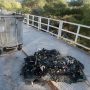Θεσσαλονίκη: Νεκρό βρέφος σε κάδο απορριμάτων