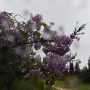 Κακοκαιρία INES: Οι περιοχές που θα χτυπήσει τις επόμενες ώρες
