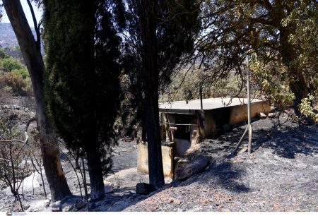 Φωτιά στη Χίο: Μεγάλη αναζωπύρωση στο βουνό Προβατά – Στάχτη πάνω από 47.000 στρέμματα